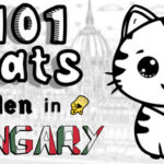 101 Cats Hidden in Hungary