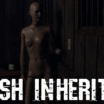Finnish Inheritance