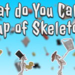 What do You Call a Group of Skeletons? – Pilot