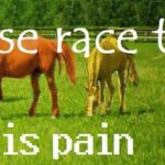 Horse Race Tests: Life is Pain