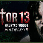 Sector 13: Haunted Woods