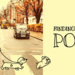 Finding Polka