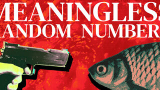 Meaningless Random Numbers