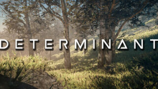 Determinant