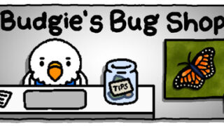 Budgie’s Bug Shop