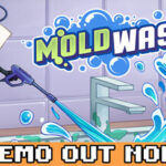 Moldwasher
