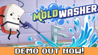 Moldwasher