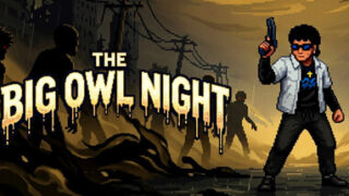 The Big Owl Night