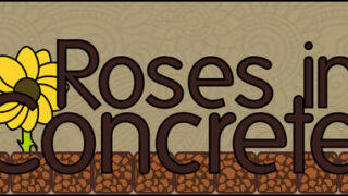Roses In Concrete