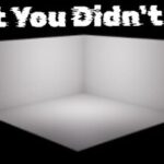 What You Didn’t See