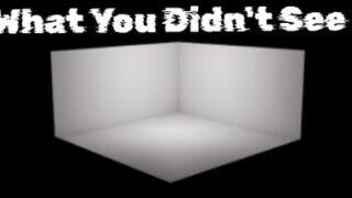 What You Didn’t See