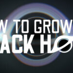 How To Grow a Black Hole