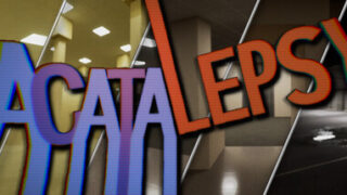 Acatalepsy