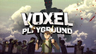 Voxel Playground