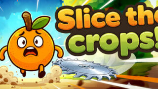 Slice the Crops!