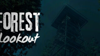 Forest Lookout