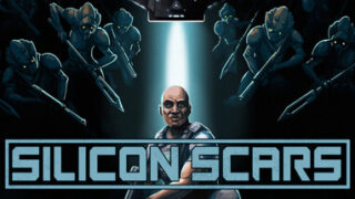 Silicon Scars