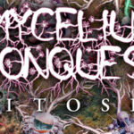 Mycelium Conquest: Mitosis