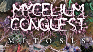 Mycelium Conquest: Mitosis