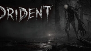 Drident