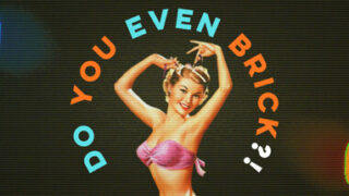 Do You Even Brick?!