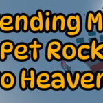 Sending my Pet Rock to Heaven