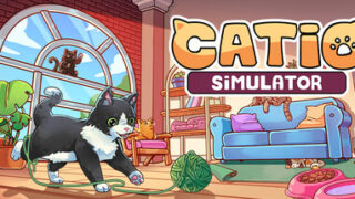 Catio Simulator