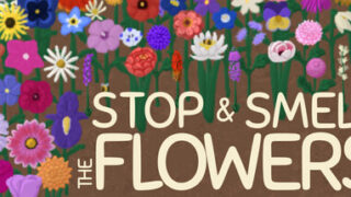 Stop and Smell the Flowers