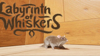 Labyrinth of Whiskers